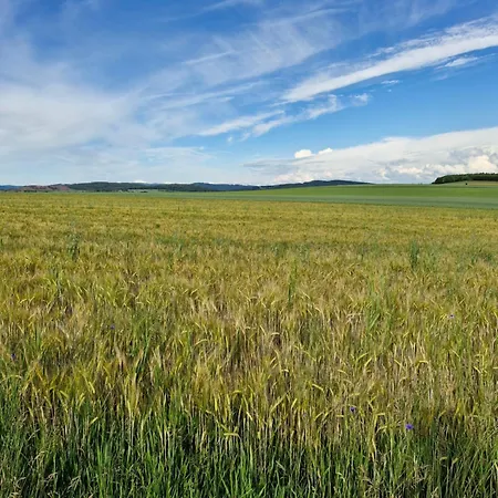 - Skibin Lodge Radkow