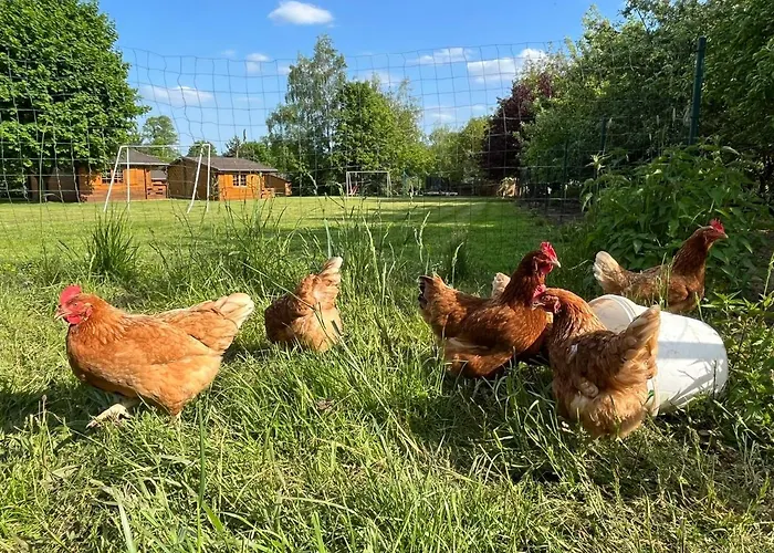 Jaktstuga - Skibin *