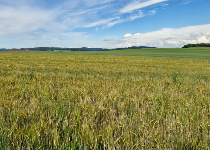 - Skibin Jaktstuga Radkow